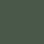 Keepsakes Holiday Green color