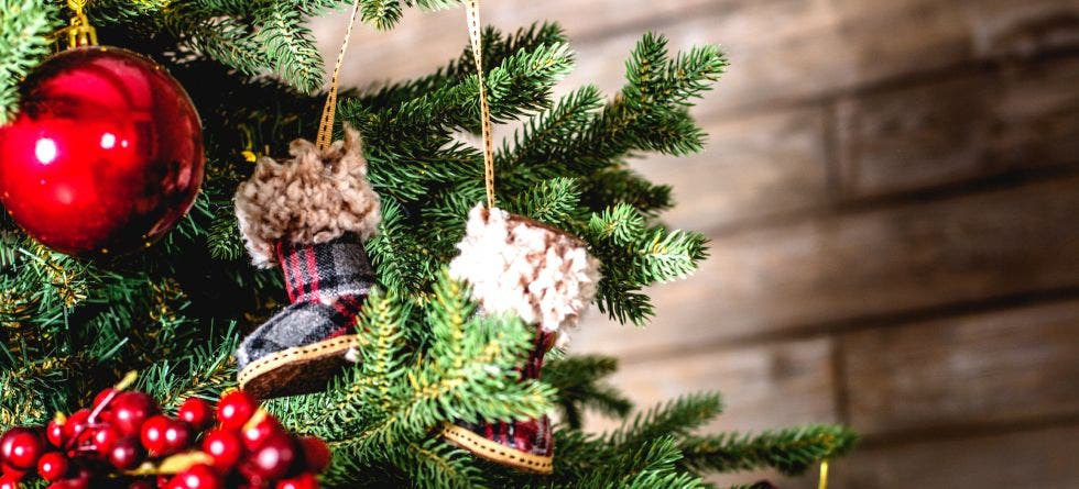 How to Choose the Right Christmas Tree Storage - The Cover Blog