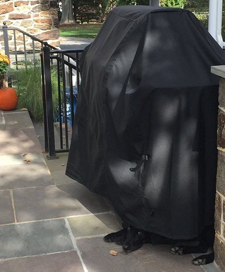 Covermates BBQ Grill Cover Covermates BBQ Grill Cover