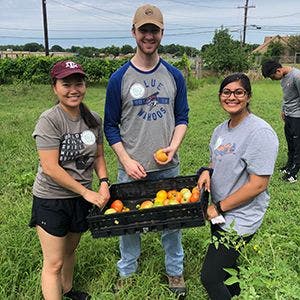 Volunteering at a community garden