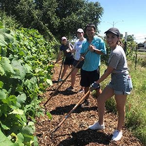 Volunteering at a community garden