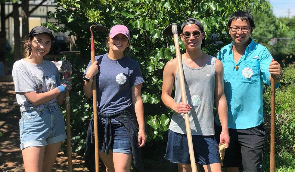 Volunteering at a community garden