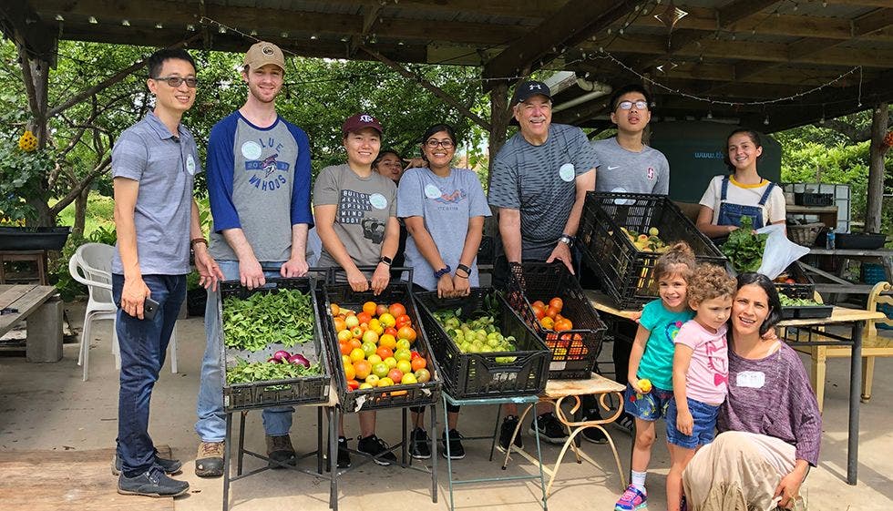 Volunteering at a community garden